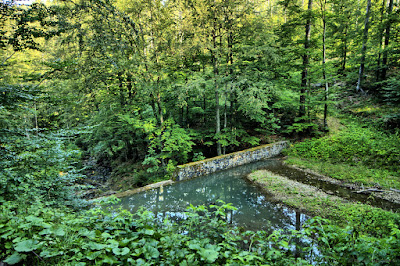 Hiking Loop around Złatna - Blue Route