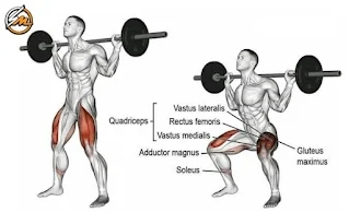 The Best Exercises to Have Powerful and Muscular Legs