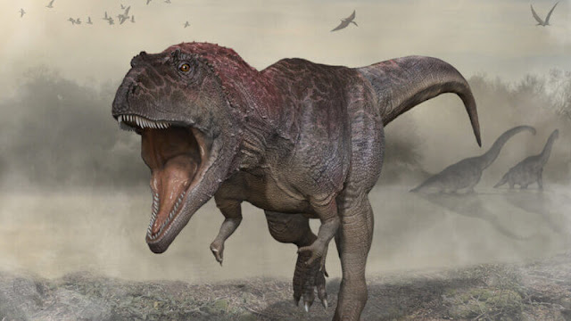 An artist's rendering of the recently discovered Meraxes gigas dinosaur.  Papolio, Carlos