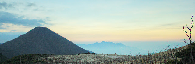 Dead Forest, Exotic Area in Mount Papandayan