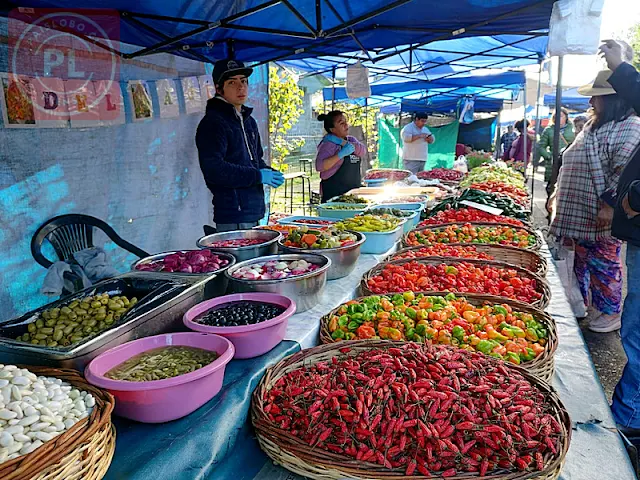 Ruta de las Ferias: sábado 13 de abril - Feria PAC Osorno