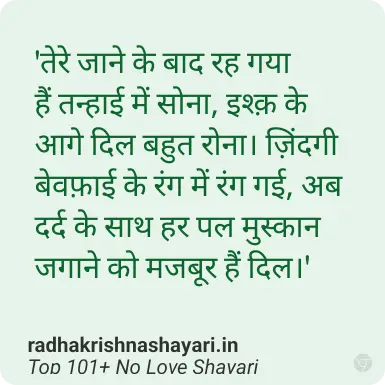 No Love Shayari