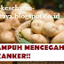 Selain Mengurangi Batu Ginjal dan Menjaga Kesehatan Tulang Buah Yang Satu Ini Sangat Ampuh Mencegah Kanker Lho, Yuk Beritahu yang Lainnya