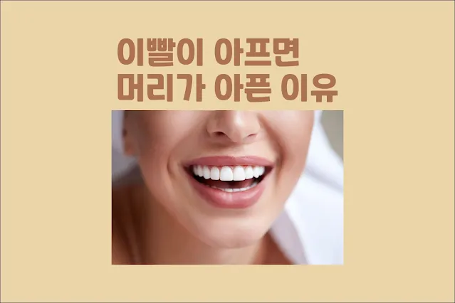이빨이-아프면-머리가-아픈-이유