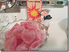 cranberry fruit gels - The Backyard Farmwife