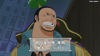 ワンピースアニメ 魚人島編 530話 | ONE PIECE Episode 530