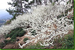 clip_image018