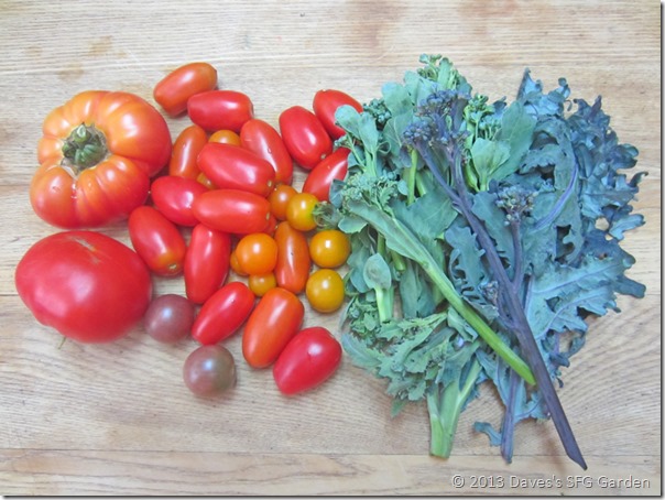 tomatoes_and_broccoli