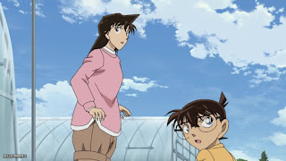 名探偵コナンアニメ 1121話 あぶなすぎるメロン畑 Detective Conan Episode 1121