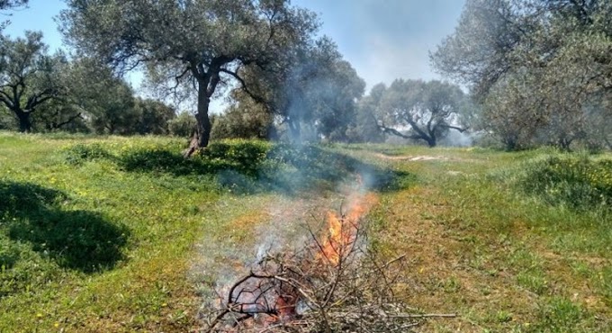 Οδηγίες Π.Υ. Ημαθίας ενόψει της αντιπυρικής περιόδου