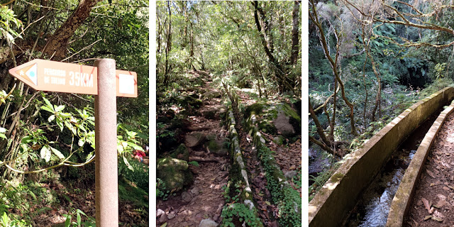 Levada do Poço do Bezerro