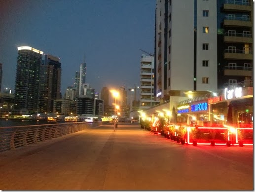 photo 3 (1)