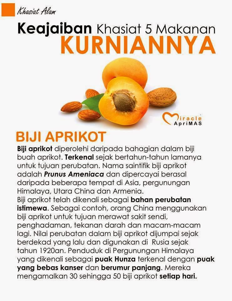 Miracle Apricot Seed Khasiat