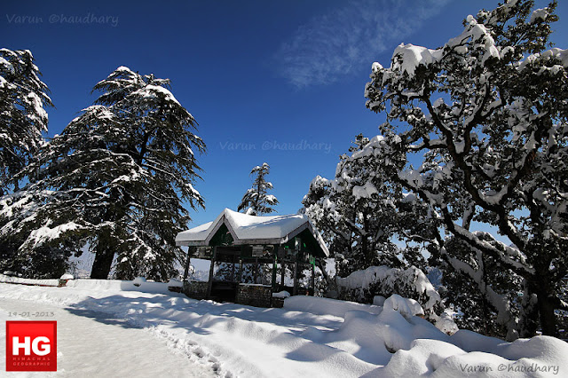 Himachal Pradesh, the Himalayan State of India, has got heavy snowfall during last week. Localites loved the snowfall initially, while various problems are making the life difficult in hills. At the same time, tourist inflow to the state has increased a lot. Max number of tourists are expected to visit Himachal hill stations next week-endTourist spots near Shimla, like Kufri, Fagu and Narkanda experienced snowfall, triggering a rush of tourists in Shimla. Likewise, the Solang ski slopes, located just 13 km uphill from Manali, saw snow turning the hill completely white. Manali had no electricity for 24 hours after snowfall and hopefully today it will be sunny out there Above photograph shows Indira Gandhi Medical College covered with white sheet of fresh snow. (IGMC, Shimla under snow)All these photographs have been shared by Varun Chaudhary except few by Amit Kanwar. Both of them are brilliant photographers from Shimla and have shared great moments with us at PHOTO JOURNEY.High altitude places like Shimla, Manali & Lahaul has seen snowfall while lower areas of the state including Dharamsala, Palampur, Solan, Nahan, Chamba and Mandi received moderate rain, bringing the temperature down considerably.A beautiful photograph of Ridge Ground of Shimla with white snow shining in late evening. There are people out on Mall road on ridge with umbrellasThe temperature has decreased in Himachal Pradesh with Shimla recording a minimum temperature of 3.6 degrees Celsius on Tuesday, down from Monday's 4.3 degrees Celsius. The night temperature in Keylong, the state's coldest place, was 2.9 degrees Celsius below the freezing point. Kalpa saw a low of minus 1.2 degrees, while the temperature was two degrees in ManaliTransportation has impacted big time in areas which have got snowfall. In fact, many of the places are not getting electricity due to brokerage of installed equipments. Appropriate authorities working hard to get out of the state. At various places, water pipes are frozen, so water supply is also creating problems for localities.Snowfall in Shimla is always welcomed by tourists, Hoteliers & local folks. But most of the times, it hit badly the life of local folks when internal transportation gets impacted, electricity & water problems start badly and many other related issues. So snowfall brings mixed emotions for different segments of society. Hotel owners become very happy, labor class also gets more than enough work and can charge more than usually  wages etcHere is a photograph of Jakhu hill covered with snow. All high deodars trees covered with white layer of snow. Check out more stuff at - http://www.flickr.com/photos/himachalgeographic/sets/72157632558096993/