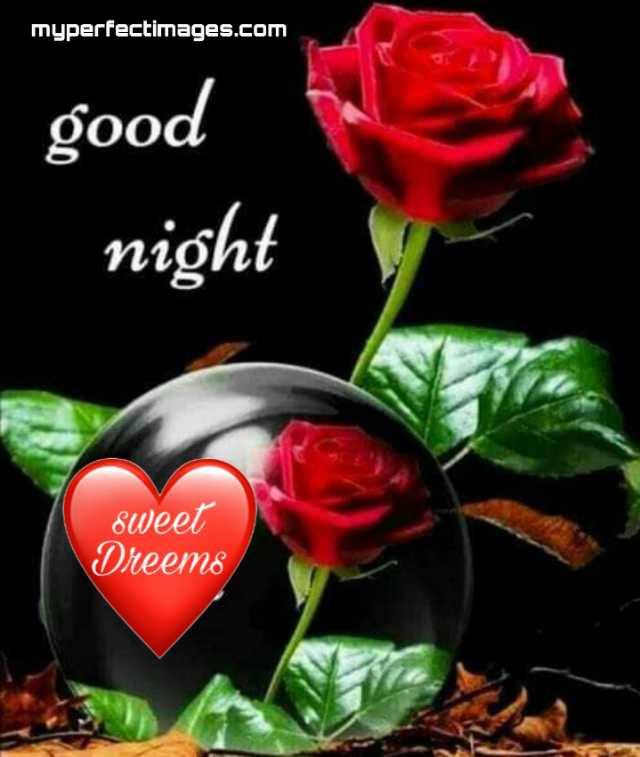 good night rose images download