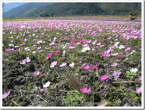 TaiTung_trip22