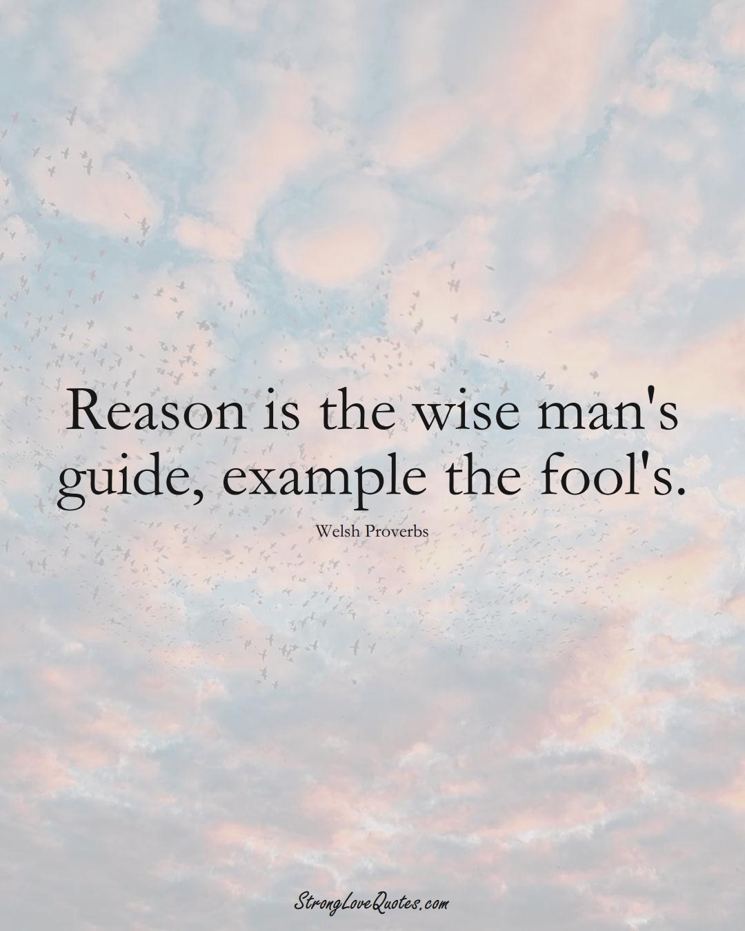 Reason is the wise man's guide, example the fool's. (Welsh Sayings);  #EuropeanSayings