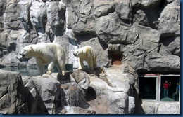 Albq Zoo (21)