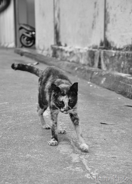 DSC_0145
