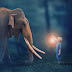 Forest Elephant Photoshop Manipulation