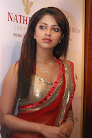 Amala, Paul, New, Hot-Photo, in, Saree, 