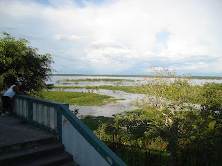 mirador-rio-iquitos