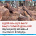 മുട്ടിൽ മരം മുറി കേസ്: കേന്ദ്ര സർക്കാർ ഇടപെടൽ ആവശ്യപ്പെട്ട് ബി.ജെ.പി സംസ്ഥാന നേതൃത്വം