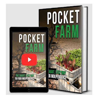 top 10 survival offers - pocket farm