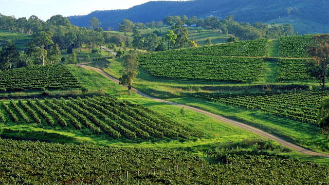 El valle de Hunter, Australia, abre el camino