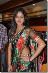 Hari-Priya-Hot-in saree1