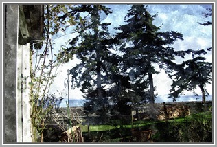FotoSketcher - IMGP0277 Watercolour gray-white frame