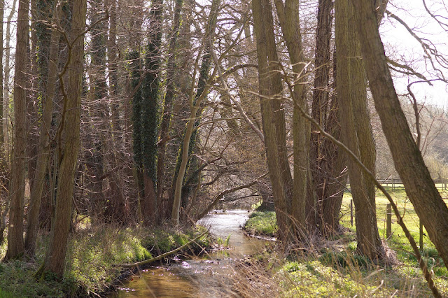 spring in Norfolk countryside