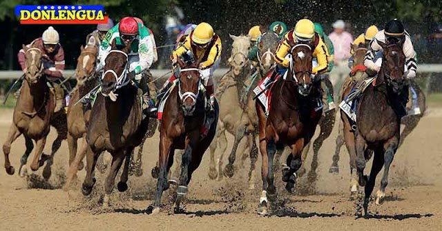 Vendedor de tostones fue atropellado por un grupo de caballos en Bejuma