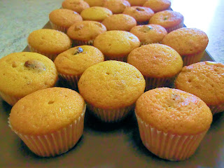Mini muffin alla zucca e cranberries plum cake