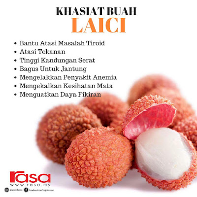 Khasiat Buah Laici Untuk Kesihatan