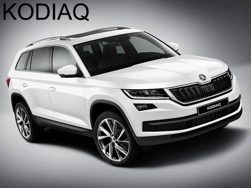 KODIAQ Picasso