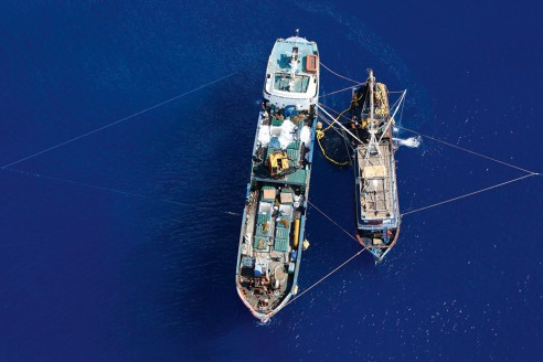 Maritime law policy analysis regarding illegal fishing