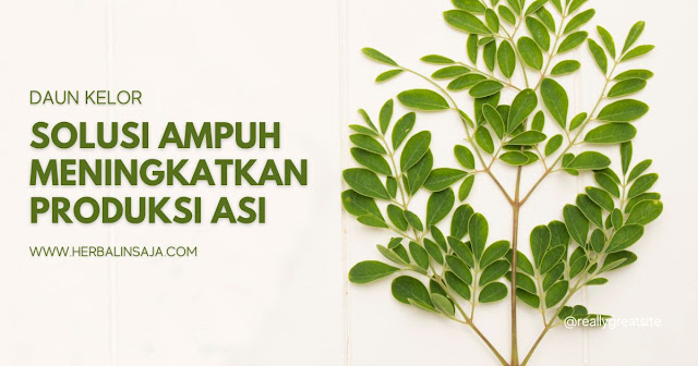 Solusi Ampuh untuk Meningkatkan Produksi ASI