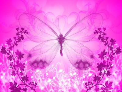 pink butterfly wallpaper. pink butterfly wallpaper.
