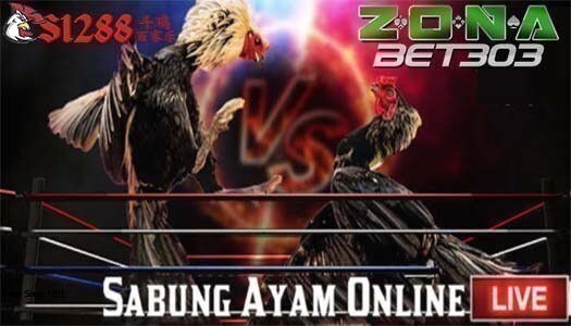 Adu Ayam Online Wala Meron Sv388 Terbaik Dan Terpercaya