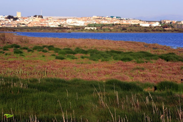 Sendero de Las Albinas (Reserva Natural Laguna Fuente de Piedra)