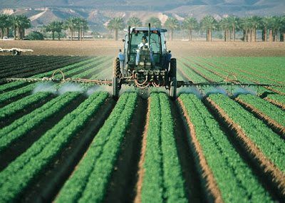 Pesticide And Other Agricultural Chemicals Market