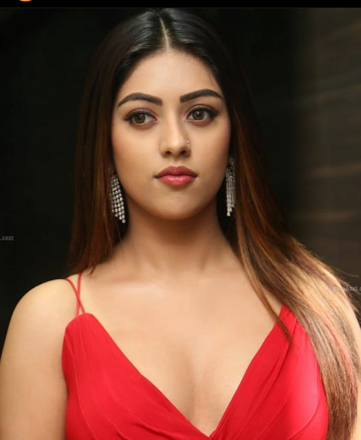 Actress Anu Emmanuel Biography, Boyfriend, Family And Salary