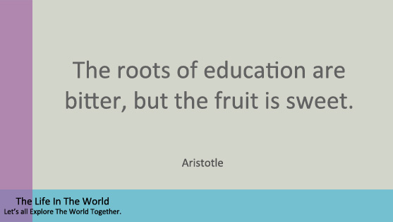Top 20 Aristotle Quotes - The Life In The World