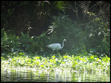 Wekiwa Springs State Park (55)