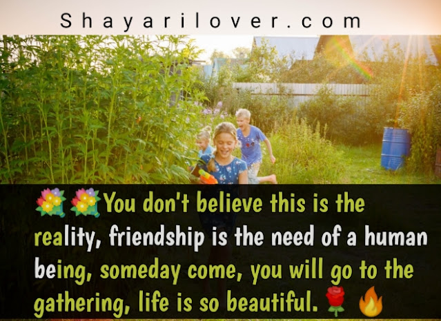 Friendship Shayari in English