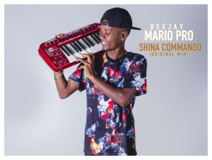 (Afro House) Dj Mario Pro - Shina Commando  (2018)