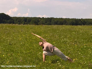 pársvákónászana, parsvakonasana, oldalsó szögtartás, ászana, jógapóz. jóga