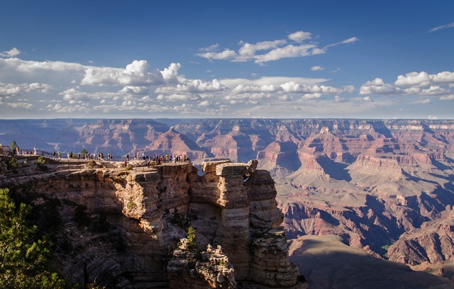 Arizona 506