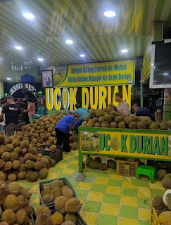 Six various medan ucok durian fruits and the benefits of consuming it.